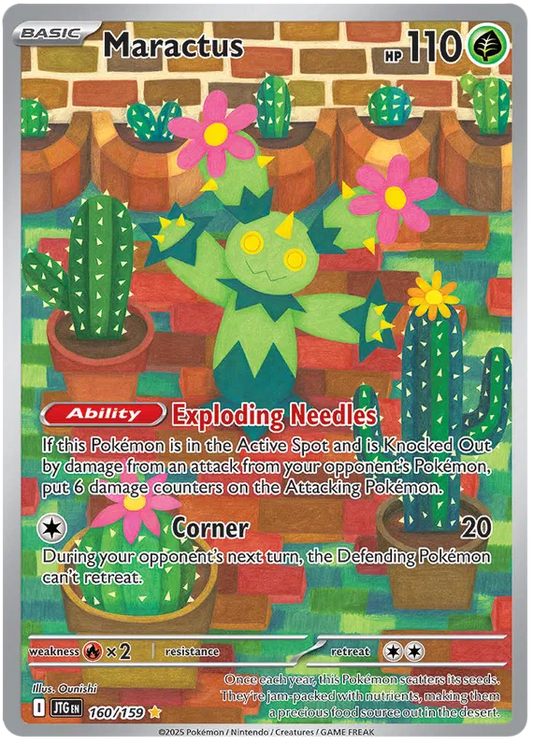 Maractus 160/180